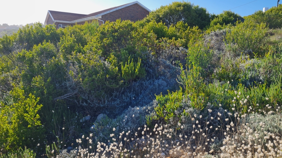 Commercial Property for Sale in Dana Bay Western Cape